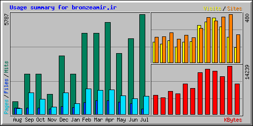 Usage summary for bronzeamir.ir
